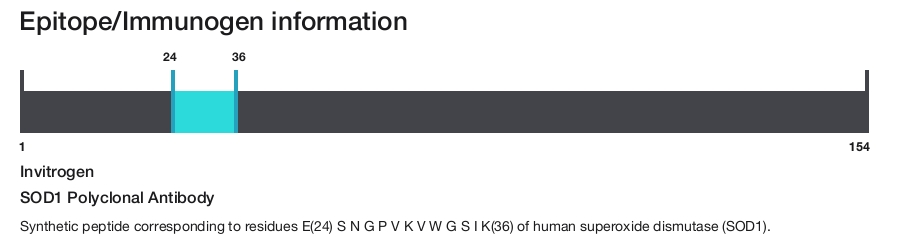 SOD1 Polyclonal Antibody