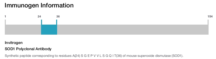 SOD1 Polyclonal Antibody
