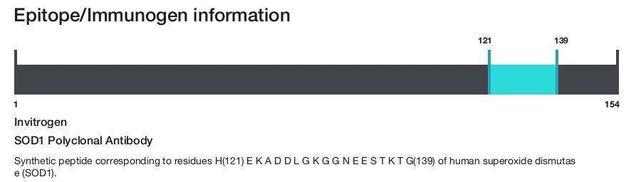 SOD1 Polyclonal Antibody