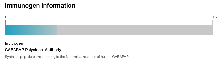 GABARAP Polyclonal Antibody