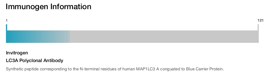 LC3A Polyclonal Antibody