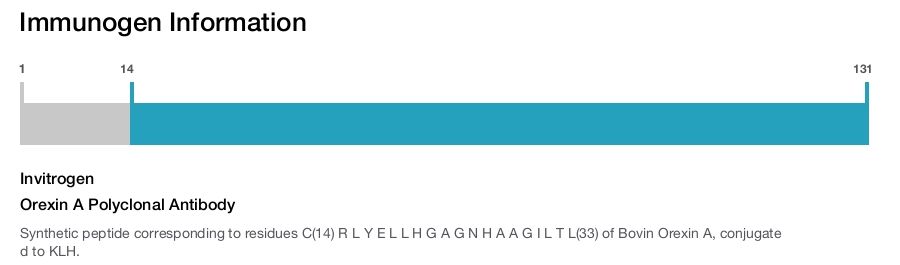 Orexin A Polyclonal Antibody