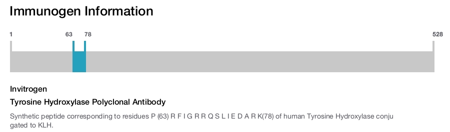 Tyrosine Hydroxylase Polyclonal Antibody