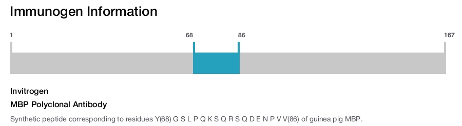 MBP Polyclonal Antibody