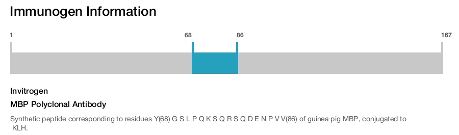 MBP Polyclonal Antibody