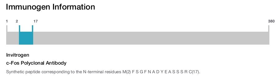 c-Fos Polyclonal Antibody