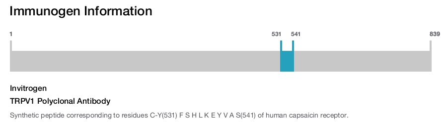 TRPV1 Polyclonal Antibody