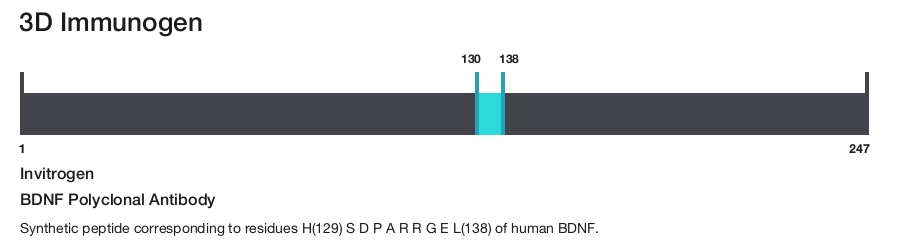 BDNF Polyclonal Antibody