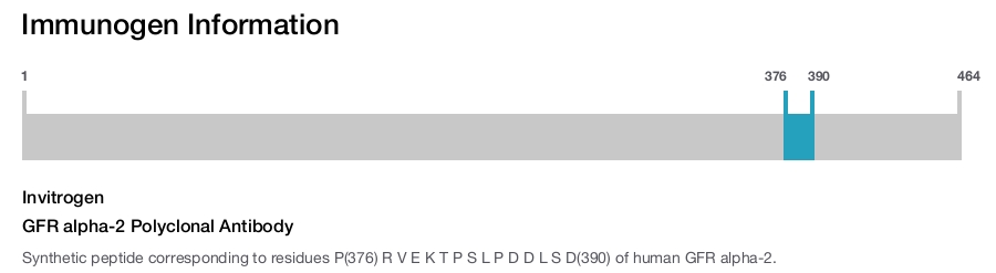GFR alpha-2 Polyclonal Antibody