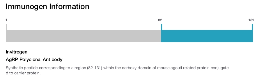 AgRP Polyclonal Antibody