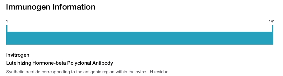 Luteinizing Hormone-beta Polyclonal Antibody