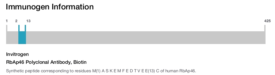 RbAp46 Polyclonal Antibody, Biotin