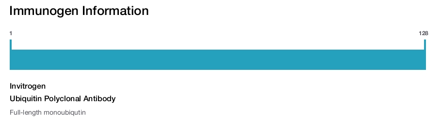 Ubiquitin Polyclonal Antibody
