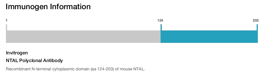 NTAL Polyclonal Antibody