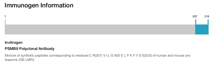 PSMB9 Polyclonal Antibody