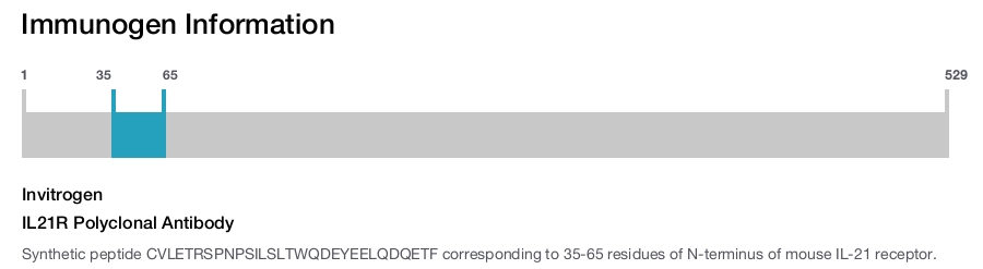 IL21R Polyclonal Antibody
