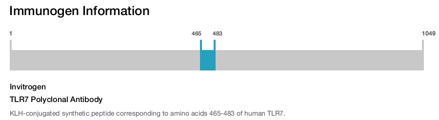 TLR7 Polyclonal Antibody