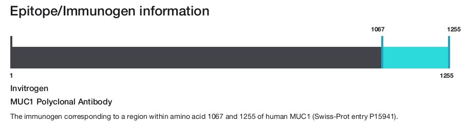 MUC1 Polyclonal Antibody
