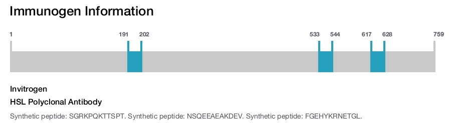 HSL Polyclonal Antibody