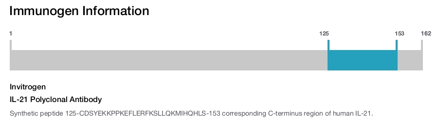 IL-21 Polyclonal Antibody
