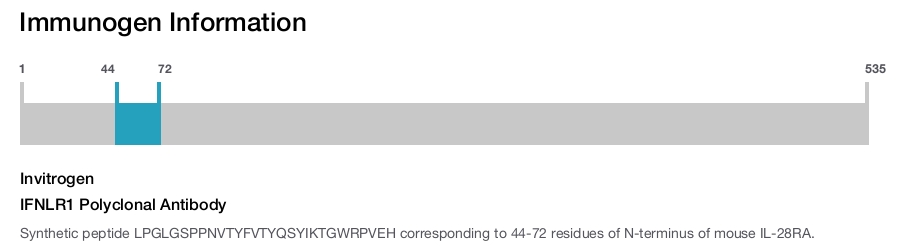 IFNLR1 Polyclonal Antibody