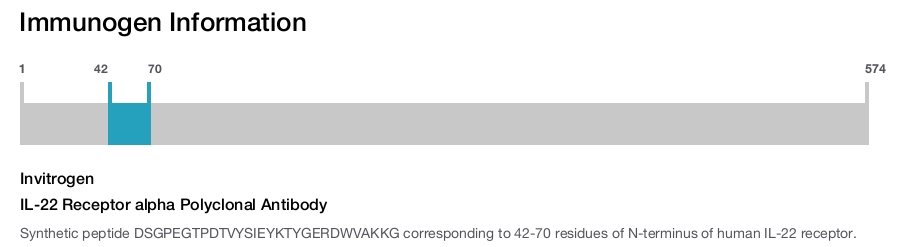 IL-22 Receptor alpha Polyclonal Antibody
