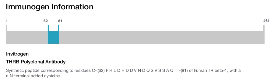THRB Polyclonal Antibody