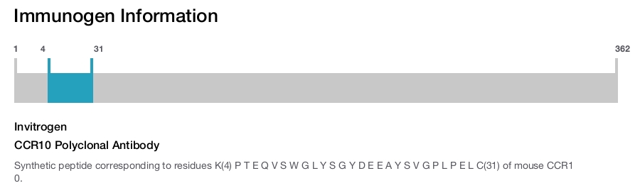 CCR10 Polyclonal Antibody