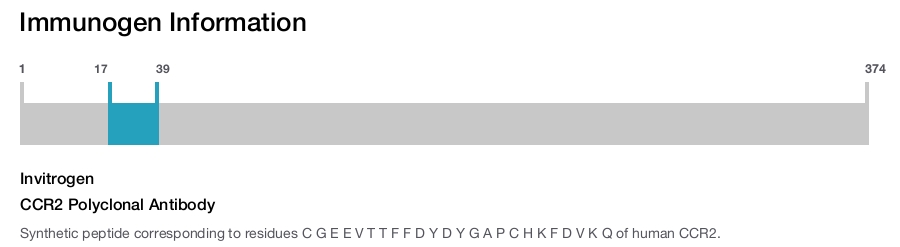 CCR2 Polyclonal Antibody