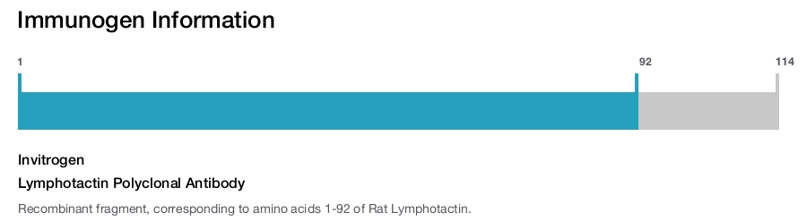 Lymphotactin Polyclonal Antibody