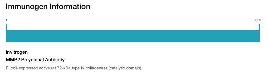 MMP2 Polyclonal Antibody
