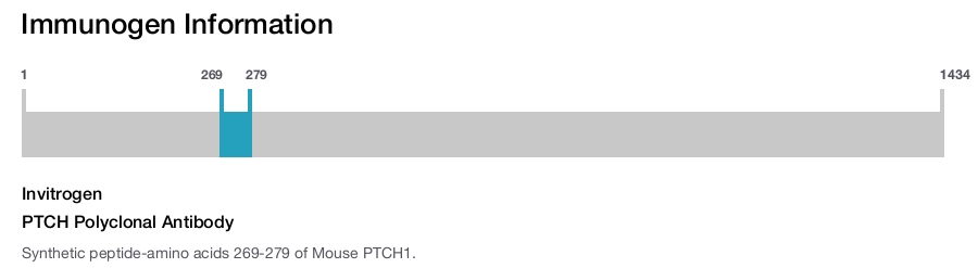 PTCH Polyclonal Antibody