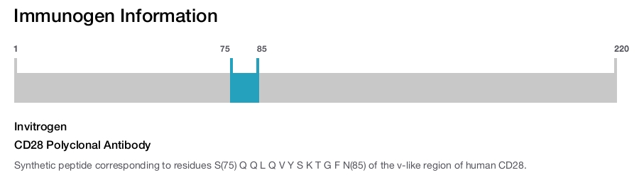 CD28 Polyclonal Antibody