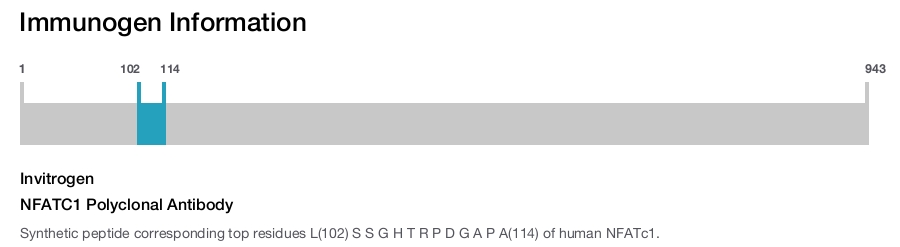 NFATC1 Polyclonal Antibody