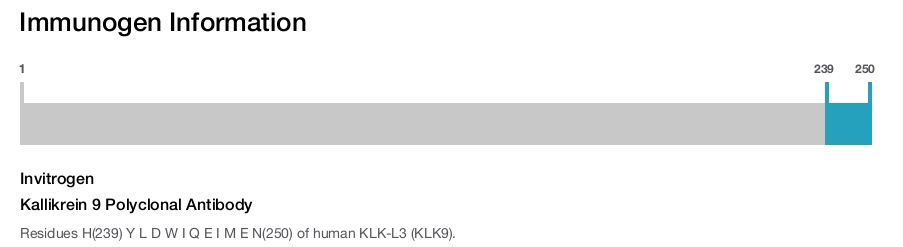 Kallikrein 9 Polyclonal Antibody