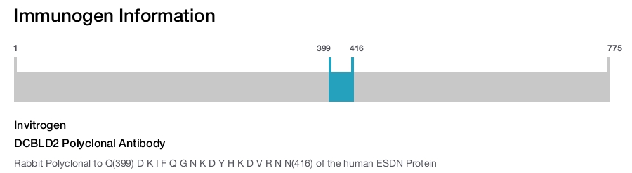 DCBLD2 Polyclonal Antibody