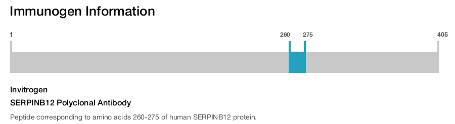 SERPINB12 Polyclonal Antibody