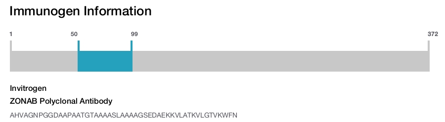 ZONAB Polyclonal Antibody