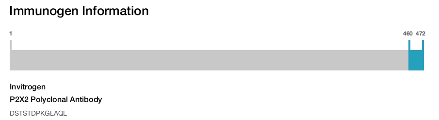 P2X2 Polyclonal Antibody