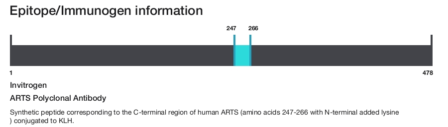 ARTS Polyclonal Antibody