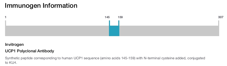 UCP1 Polyclonal Antibody