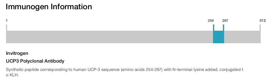 UCP3 Polyclonal Antibody