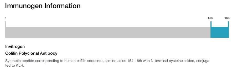 Cofilin Polyclonal Antibody
