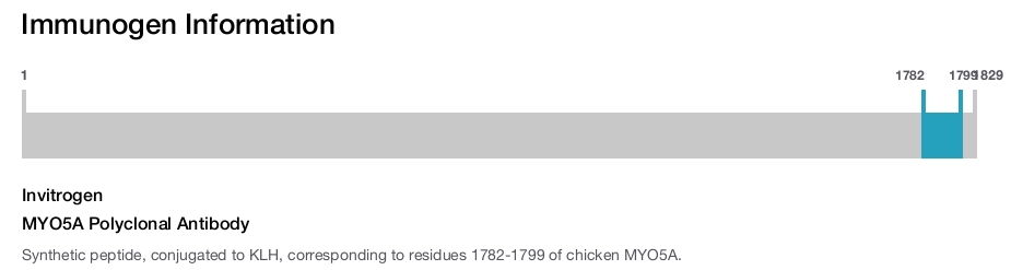 MYO5A Polyclonal Antibody