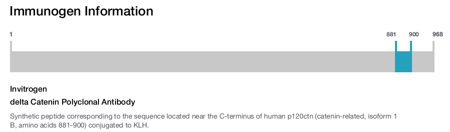 delta Catenin Polyclonal Antibody