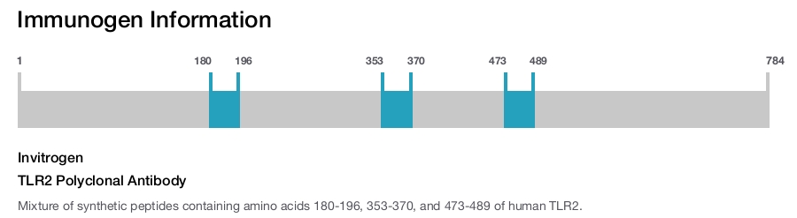 TLR2 Polyclonal Antibody