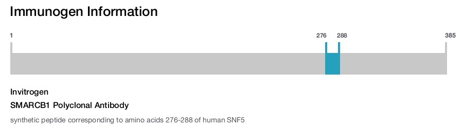 SMARCB1 Polyclonal Antibody