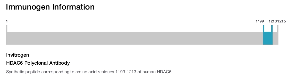 HDAC6 Polyclonal Antibody