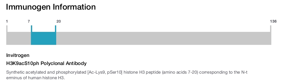 H3K9acS10ph Polyclonal Antibody