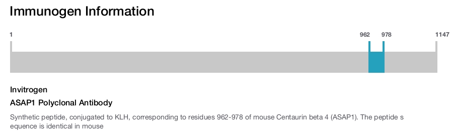 ASAP1 Polyclonal Antibody